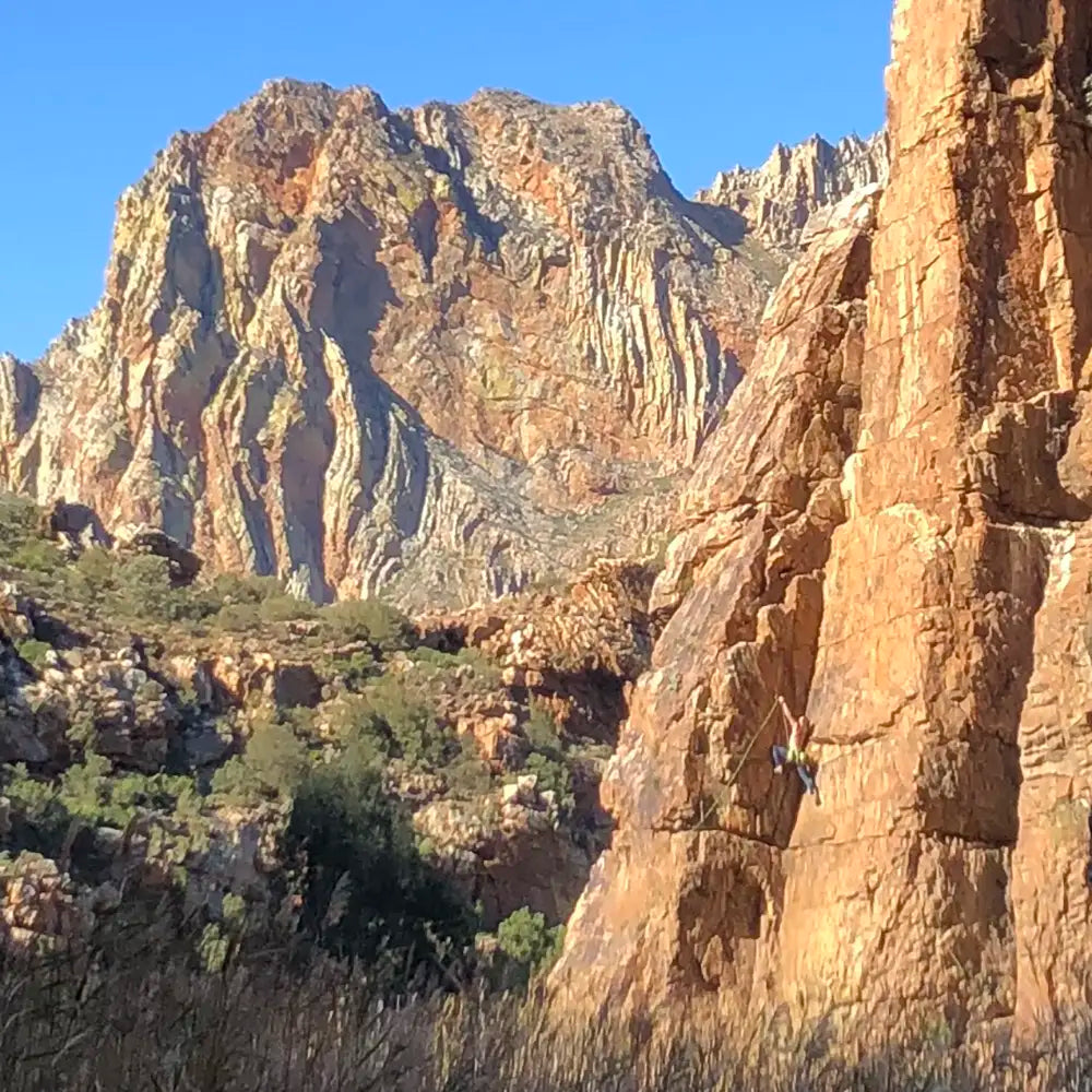 Guided - Montagu Sport Climbing Safari