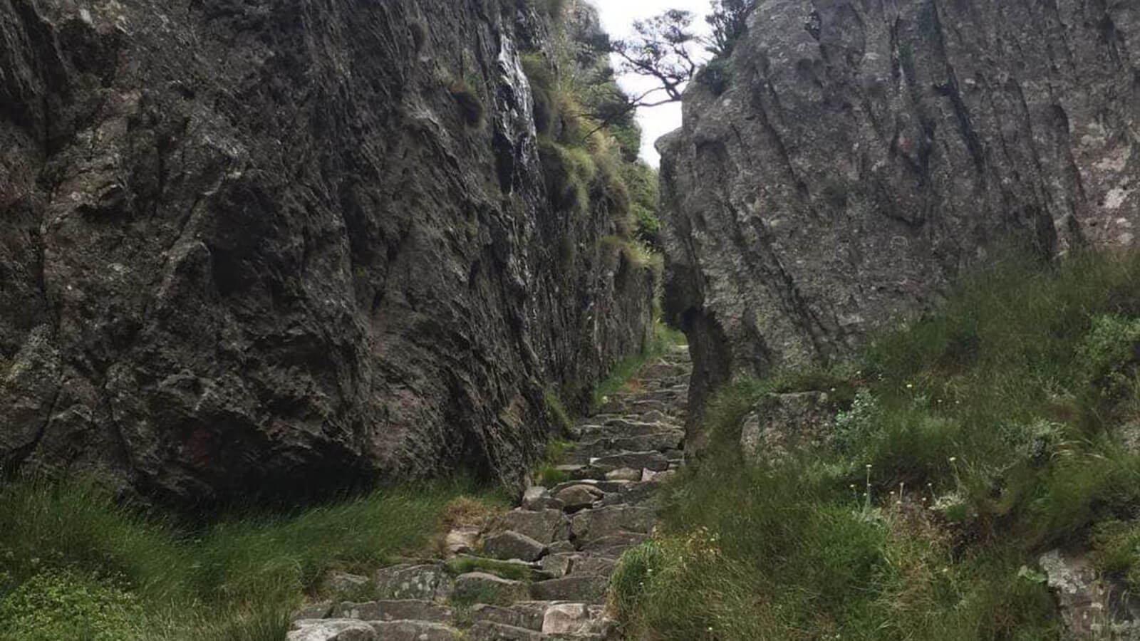 Geführte Wanderung – Platteklip Gorge